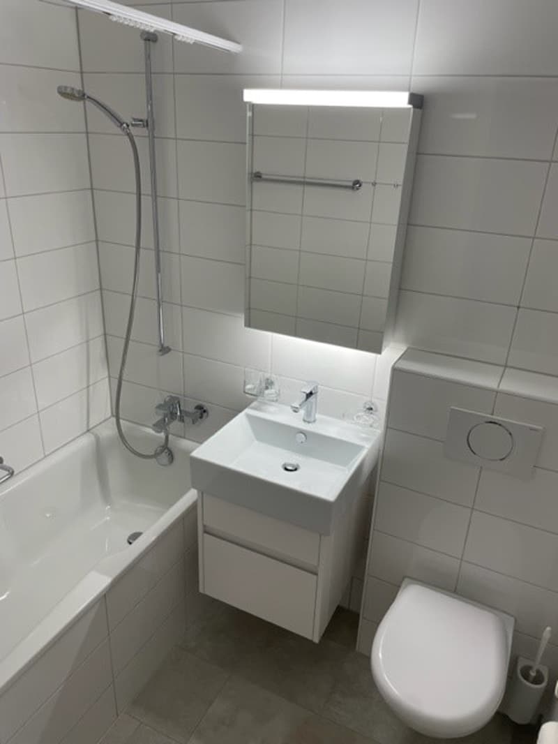 3-Zimmer-Wohnung im Holligen-Quartier zu vermieten (9)