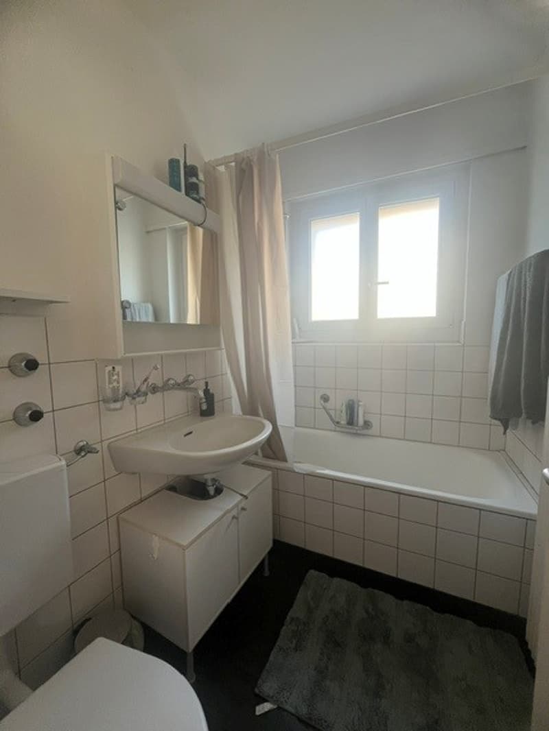 2.5-Zimmerwohnung an gut erschlossener Lage/fixer Bes. Termin! (4)