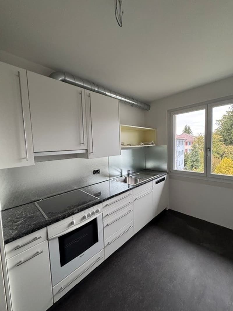 neu sanierte 3.5-Zimmerwohnung zu vermieten (2)