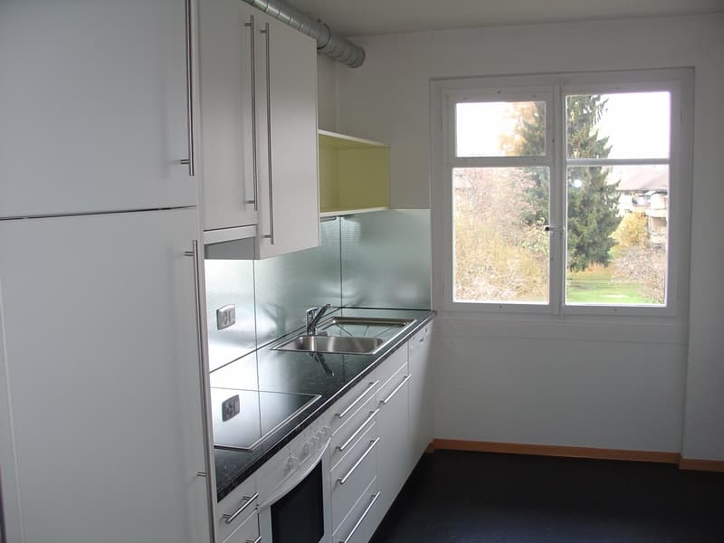 neu sanierte 3.5-Zimmerwohnung zu vermieten (3)