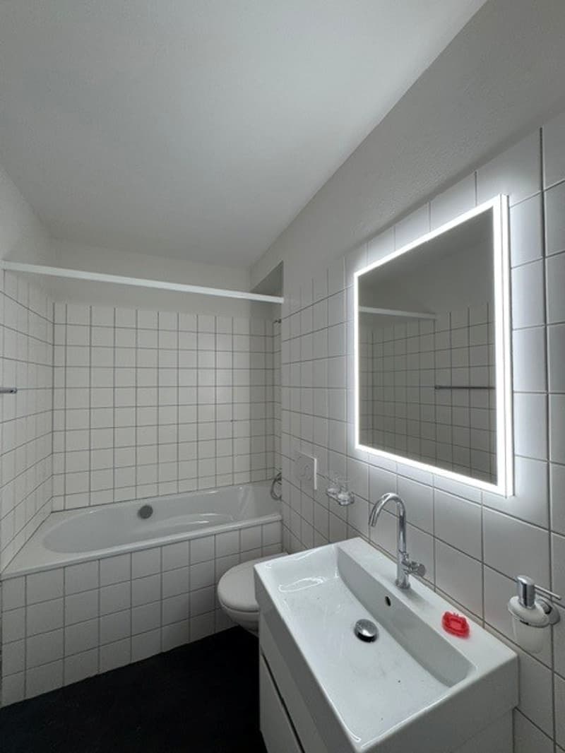 neu sanierte 3.5-Zimmerwohnung zu vermieten (7)