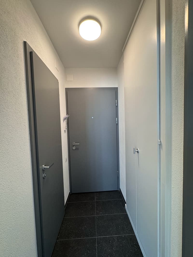 Moderne, kürzlich sanierte 1-Zimmer-Wohnung im 2. OG (kein Lift/Balkon) (7)