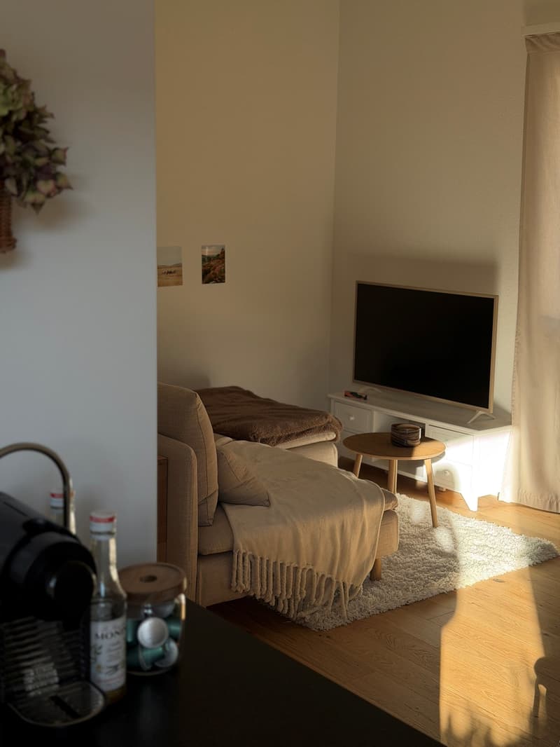 Moderne, kürzlich sanierte 1-Zimmer-Wohnung im 2. OG (kein Lift/Balkon) (10)