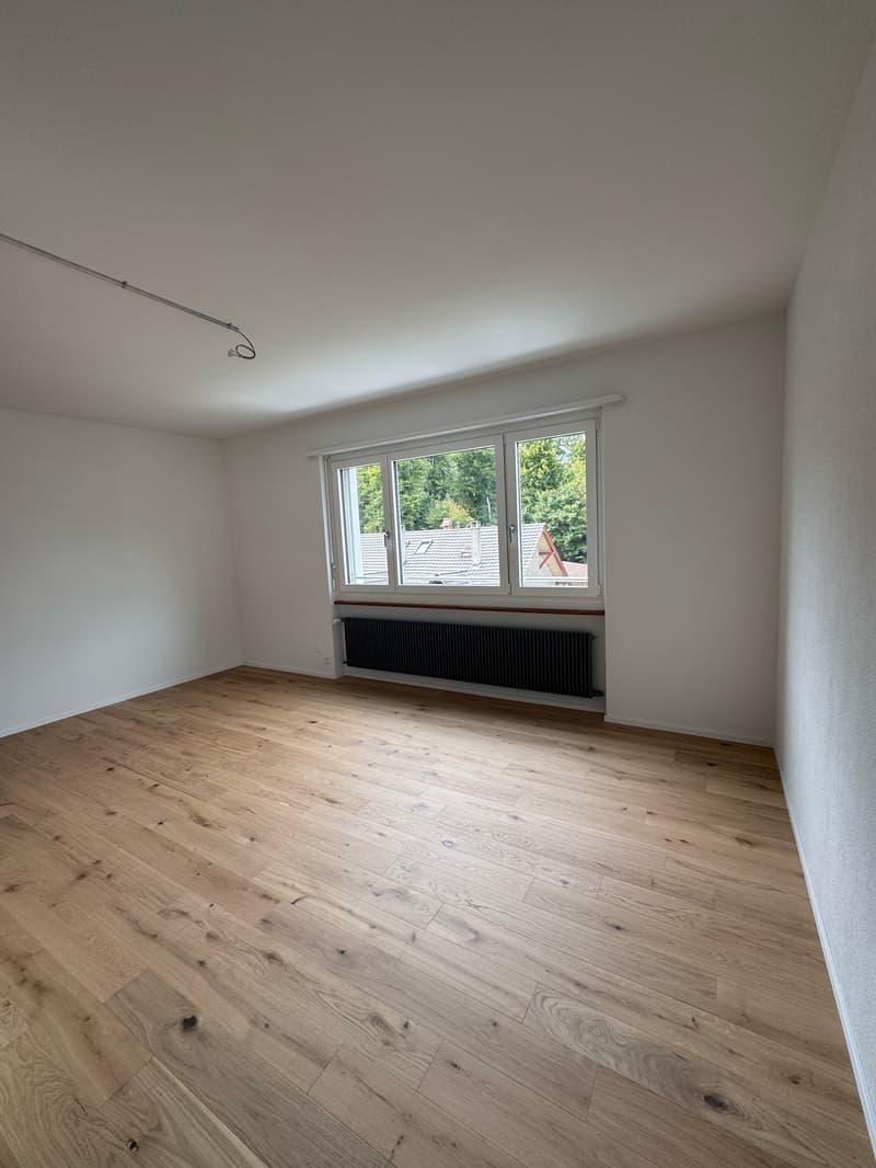 Moderne, kürzlich sanierte 1-Zimmer-Wohnung im 2. OG (kein Lift/Balkon) (6)