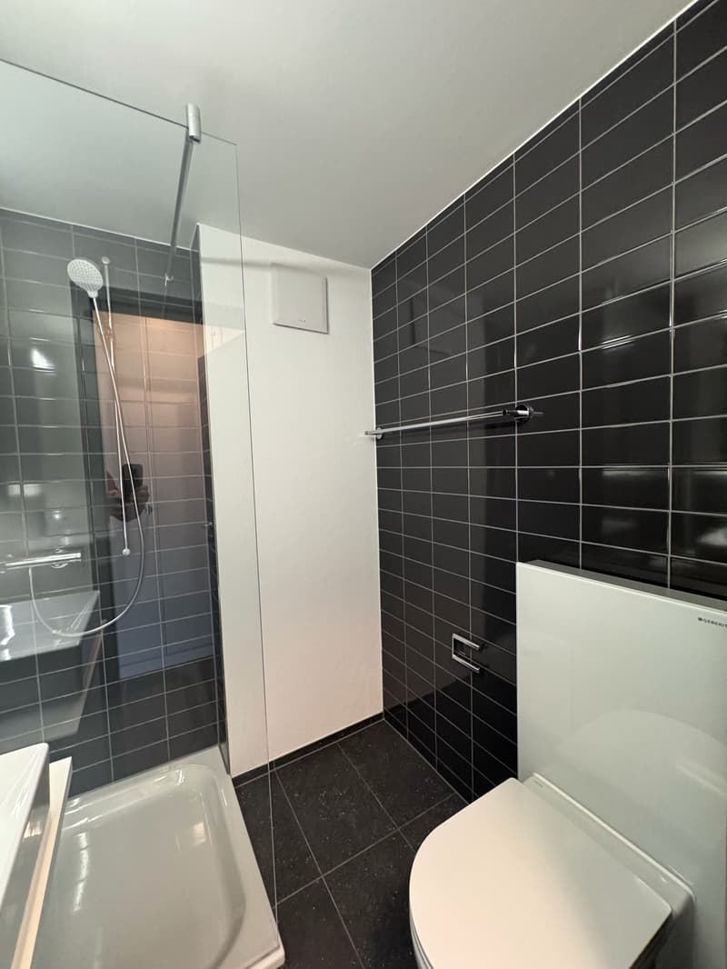 Moderne, kürzlich sanierte 1-Zimmer-Wohnung im 2. OG (kein Lift/Balkon) (5)