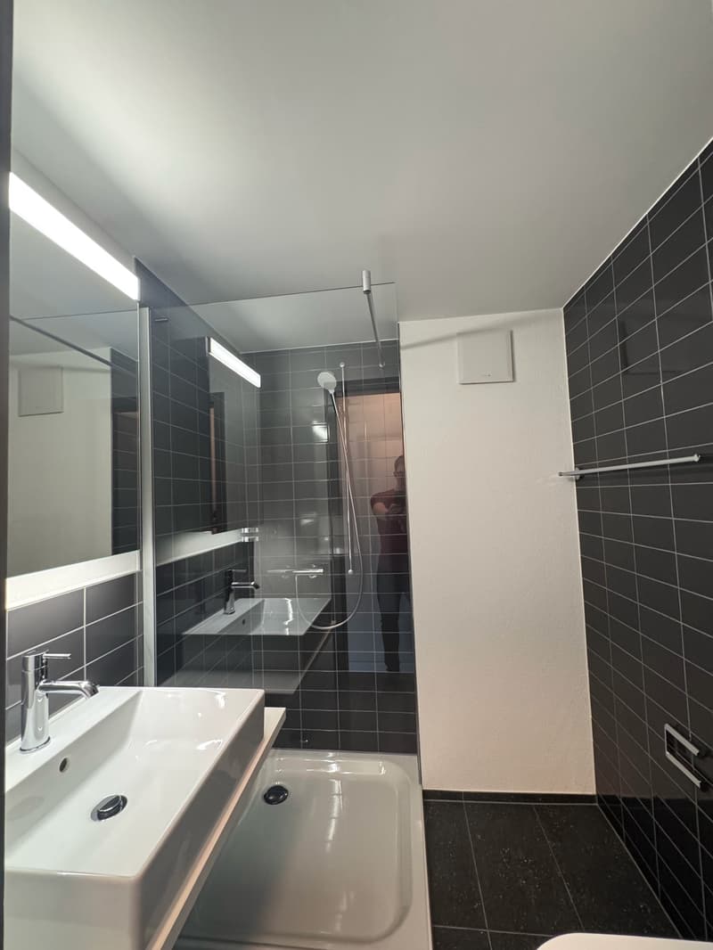 Moderne, kürzlich sanierte 1-Zimmer-Wohnung im 2. OG (kein Lift/Balkon) (4)