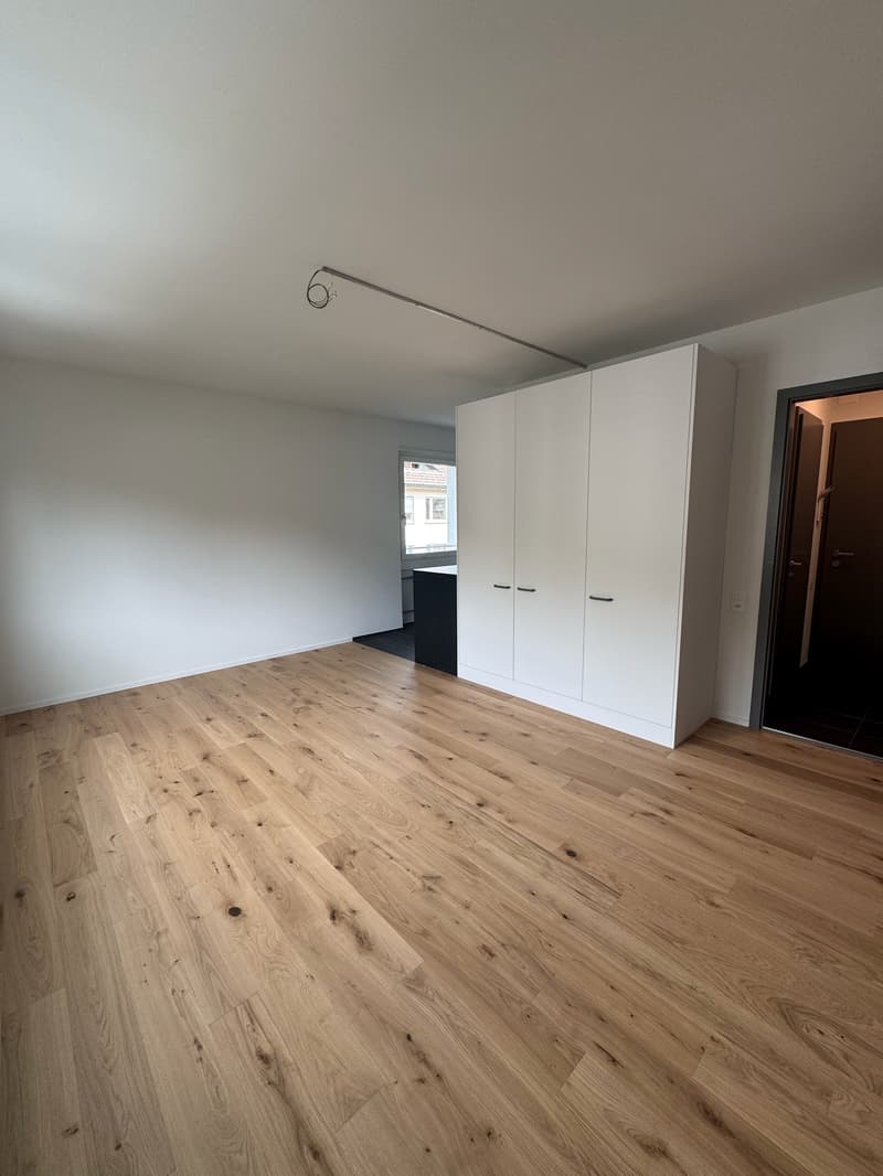 Moderne, kürzlich sanierte 1-Zimmer-Wohnung im 2. OG (kein Lift/Balkon) (3)