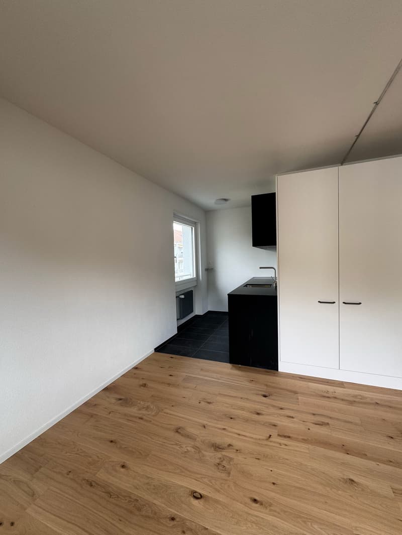 Moderne, kürzlich sanierte 1-Zimmer-Wohnung im 2. OG (kein Lift/Balkon) (2)