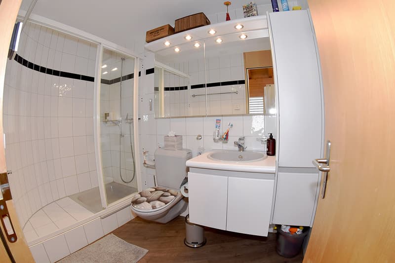 Das Bad mit Duschkabine, WC und Lavabo