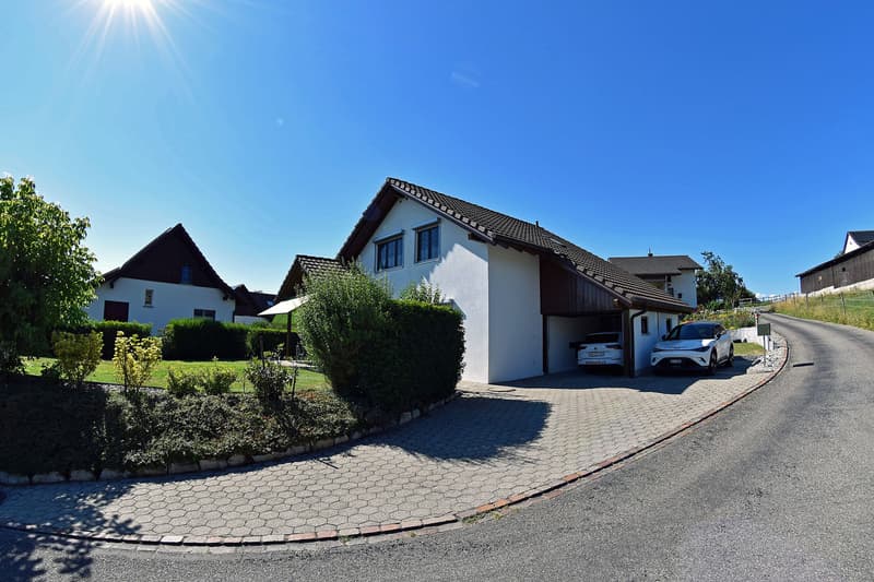 Zufahrt mit Garage und grossem Vorplatz für 3-4 Fahrzeuge