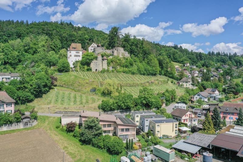 Casa affascinante da innamorarsi ai piedi della Trostburg con sistema PV e pompa di calore (3)