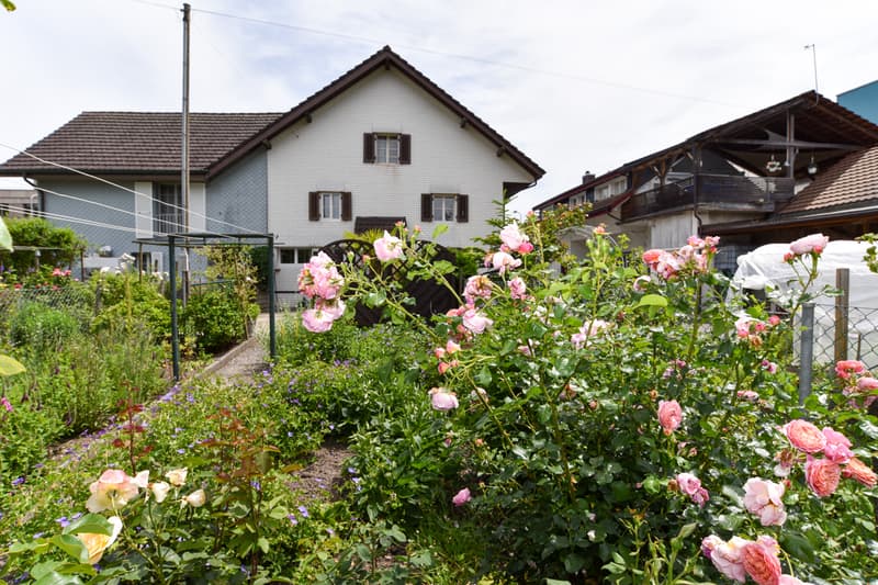 Affordable house for renovation in central location (2)