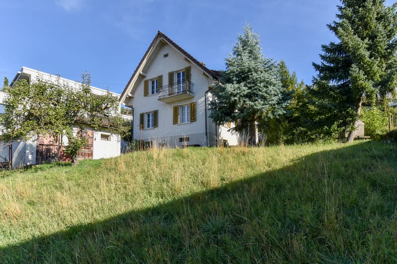 Ansicht mit Garten