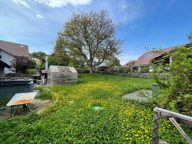 Blick in den Garten (ca. 530m2)