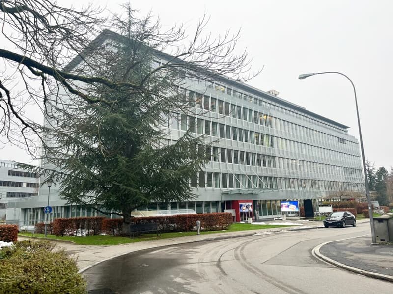 Waldeggstrasse 37, Liebefeld