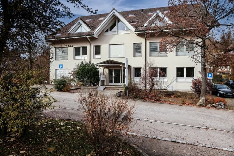 Gewerbeliegenschaft Mühlestrasse 20, Oberwangen