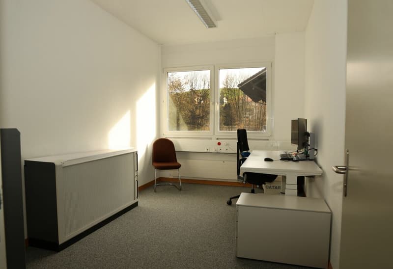 Gewerbeliegenschaft Mühlestrasse 20, Oberwangen