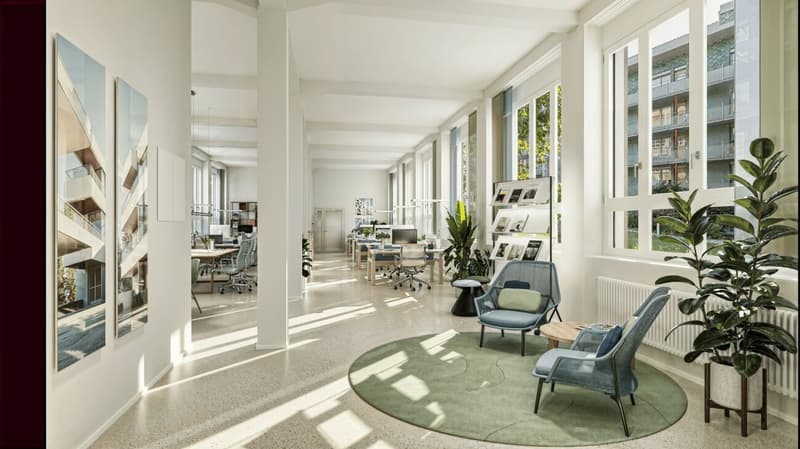 Espaces commerciaux individuels au cœur de Thun (4)