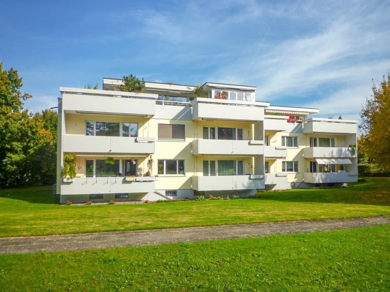 Gepflegte Mehrfamilienhäuser an begehrter Lage (1)
