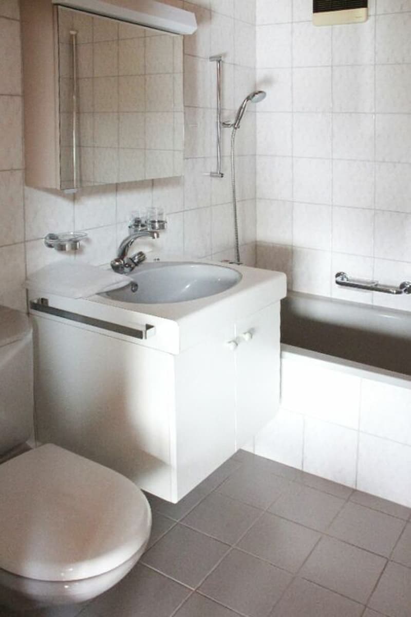 Heimelige Dachwohnung an zentraler Lage (7)