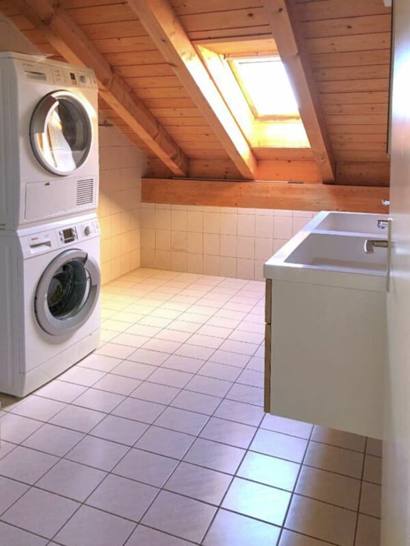 Heimelige Dachwohnung an zentraler Lage (6)
