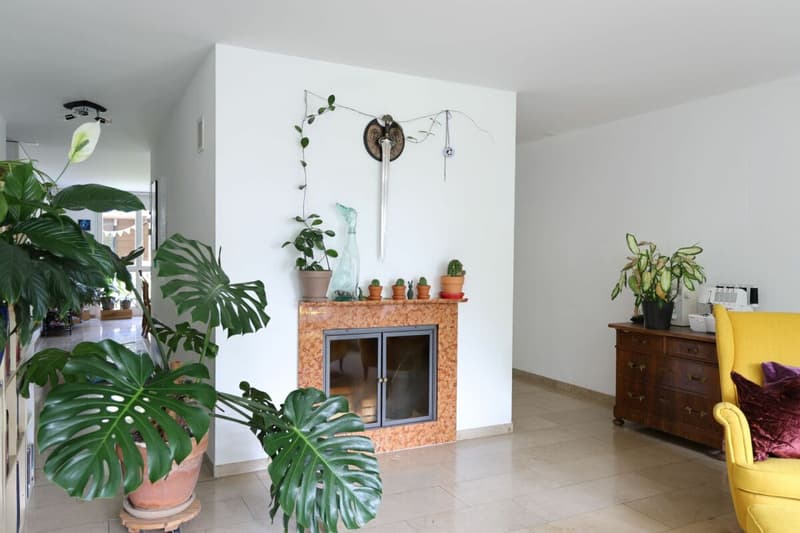 5.5-Zimmer Eigentumswohnungen (5)