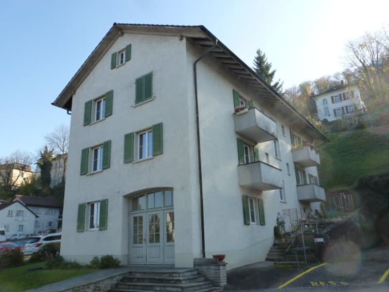 renovierte charmante 4-Zimmerwohnung an ruhiger Lage in Altbau (1)