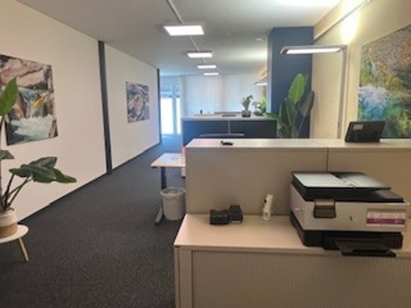 Office space with desk, printer, trash can, potted plants, paintings on the wall, carpeted floor
