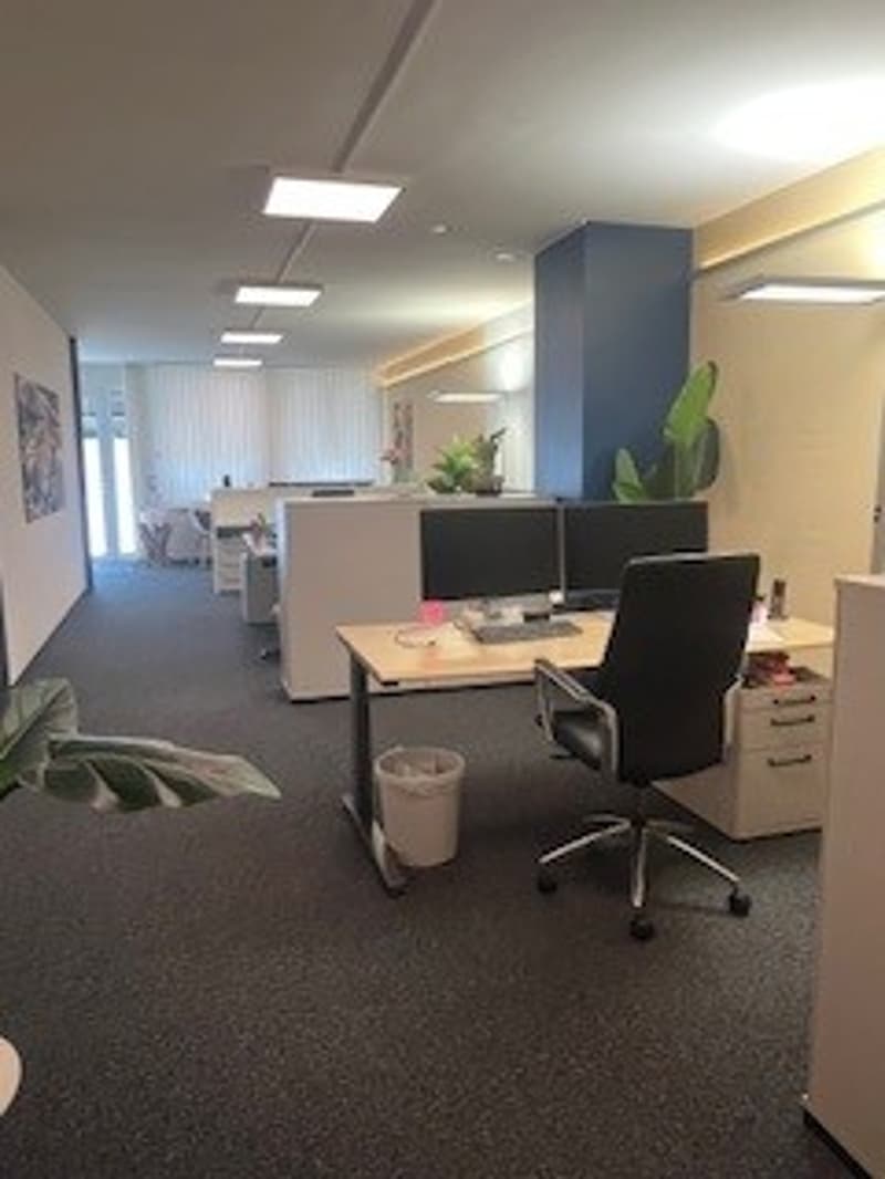 Office space with desk, chair, trash bin, monitors, plants, carpeted floor, white walls, ceiling lights