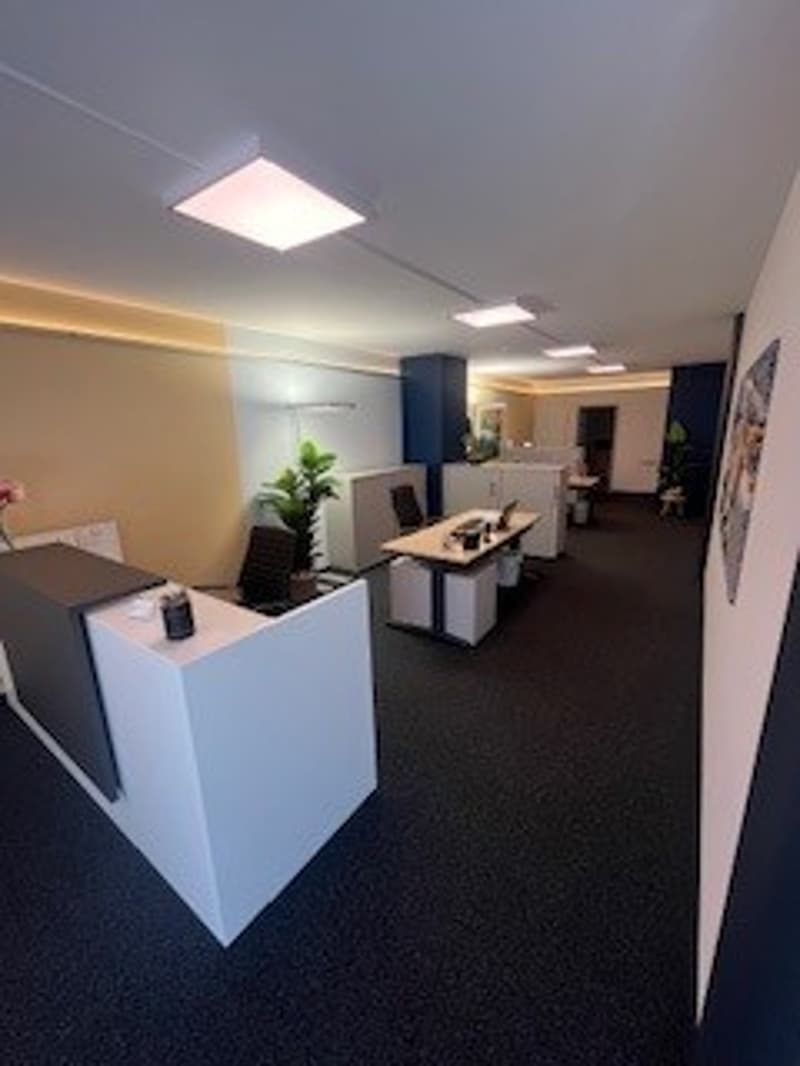 modern office space with white desks, black chairs, potted plants, and ceiling lights