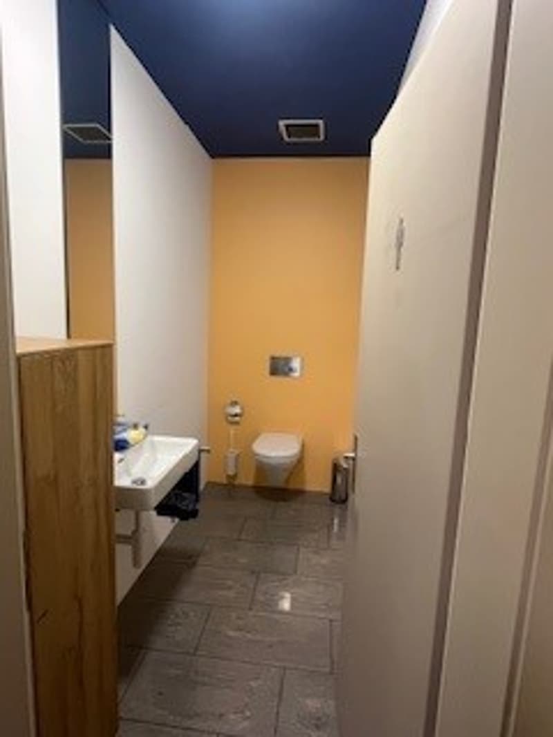 small bathroom with toilet, sink, wooden cabinet, blue and yellow walls