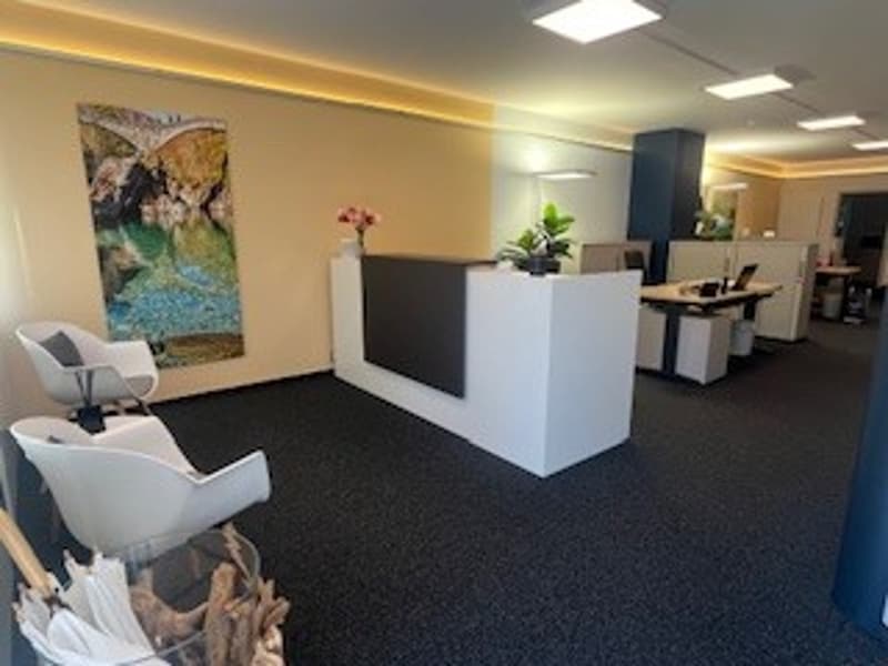 Reception desk, chairs, table, painting, plants, carpet