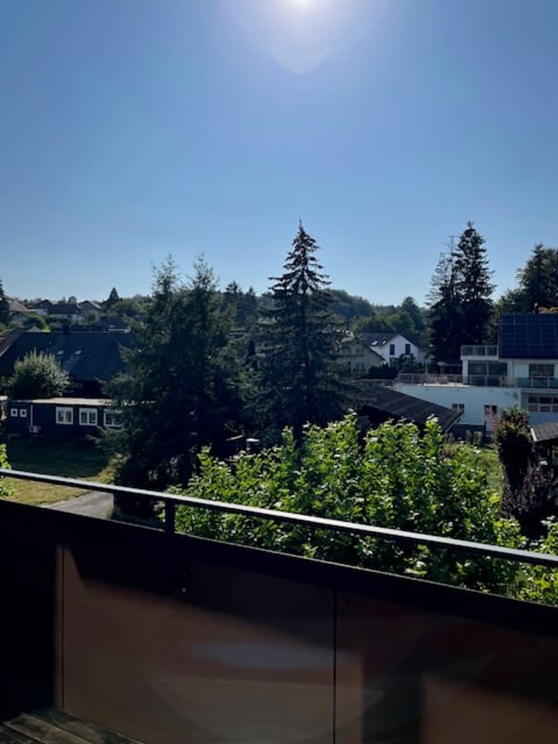 Singlewohnung zum Wohlfühlen (12)
