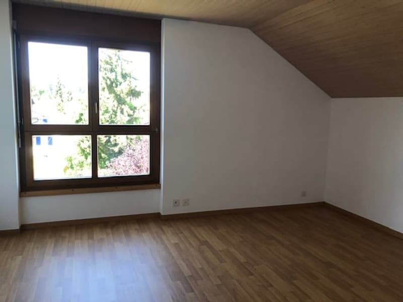 2.5-Zimmer-Dachwohnung im Grünen mit viel Charme (6)