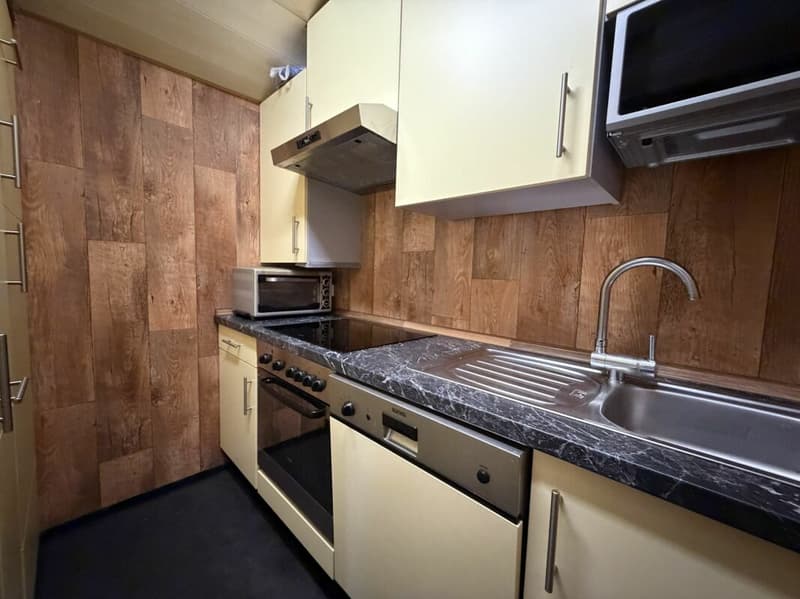 À vendre : Chalet confortable dans le vert (6)