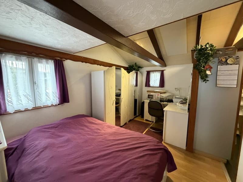 À vendre : Chalet confortable dans le vert (7)