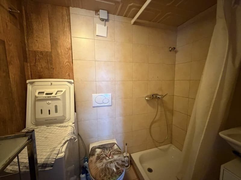 À vendre : Chalet confortable dans le vert (8)