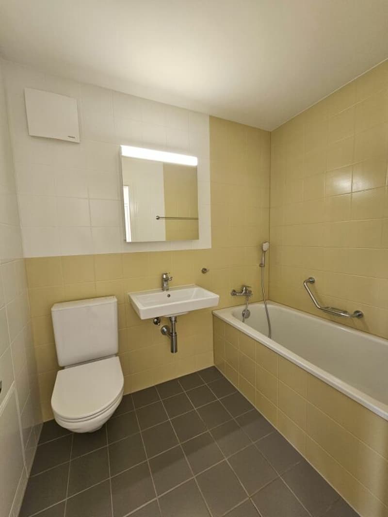 Bright and modernized 2.5-room apartment for sale in a central location in Hunzenschwil (6)