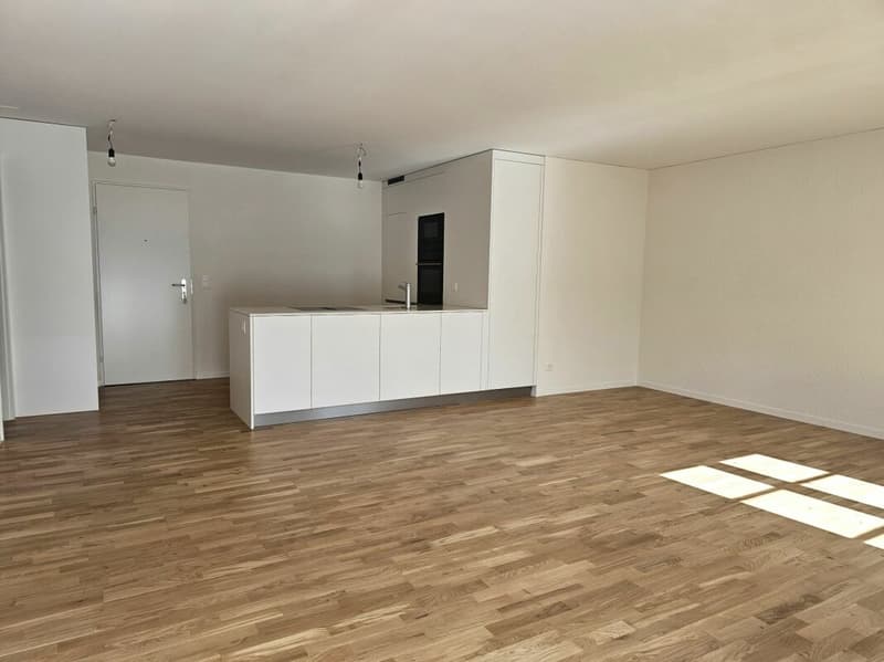Bright and modernized 2.5-room apartment for sale in a central location in Hunzenschwil (7)