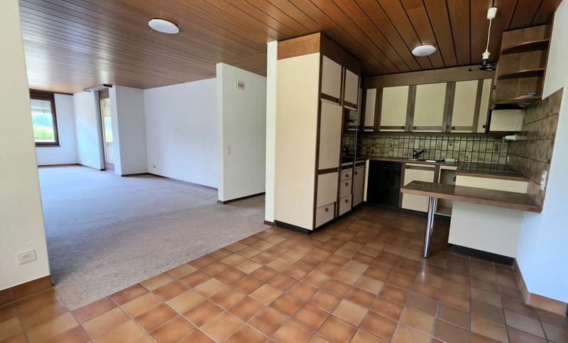 Apartment with terrace in sunny, quiet location and wonderful view (2)