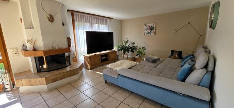 Freistehendes 5.5 Zimmer Einfamilienhaus mit grosszügigem und offenem Grundriss in Niedergösgen (3)