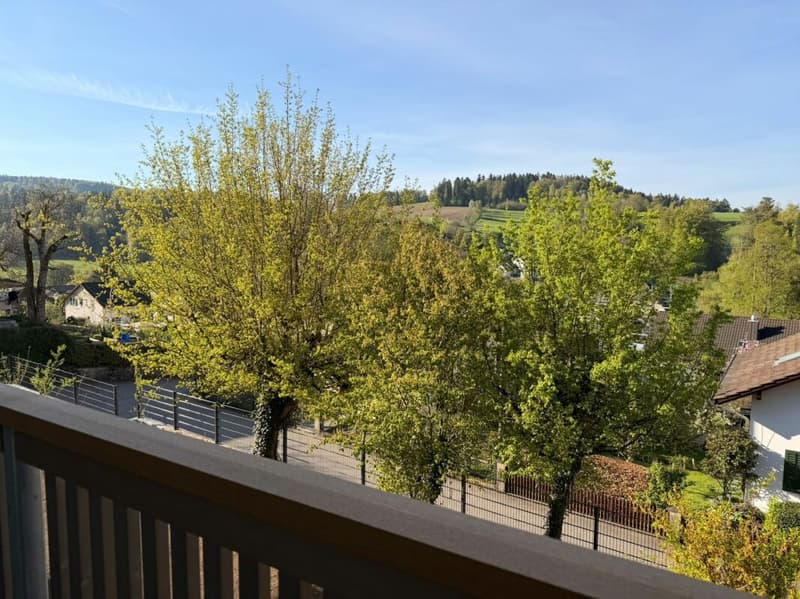 Aussicht vom grossen Balkon