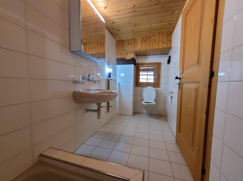 grosszügies Gästebad mit Dusche