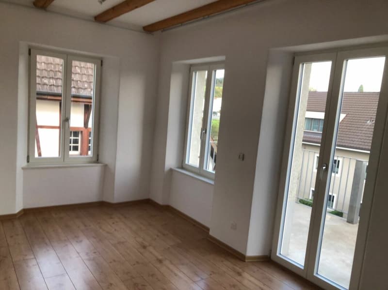 moderne 4 1/2 Zimmerwohnung zu vermieten (6)