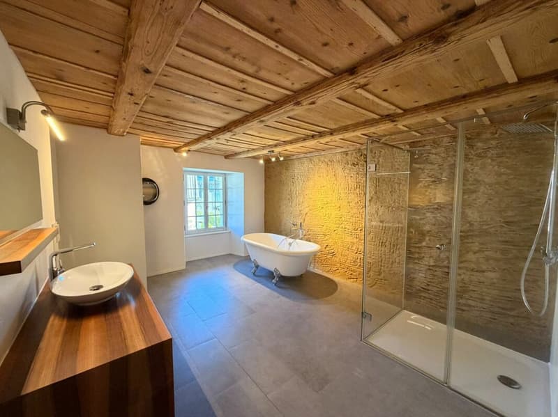 modernes und grosszügiges Badezimmer