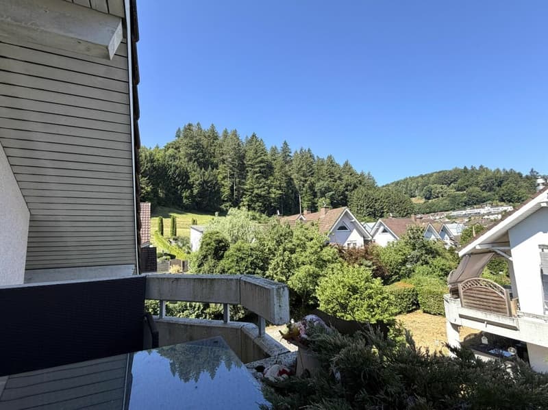 Aussicht vom Balkon OG