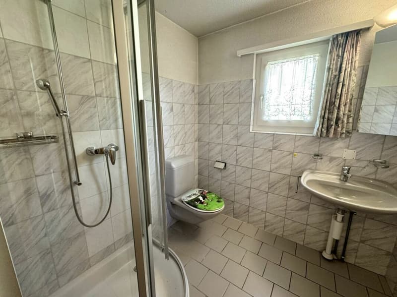 Einfamilienhaus mit Potential zu verkaufen (9)