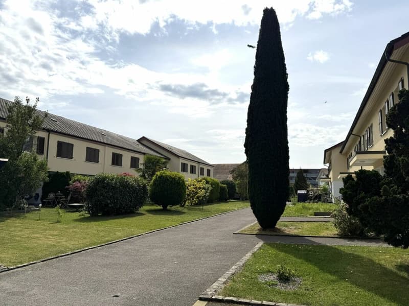 5 1/2 Zimmer - Reihenhaus mit Potential für individuelle Gestaltung (9)