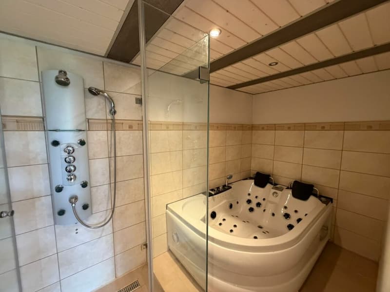 Duschbereich mit Whirlpool und Sauna