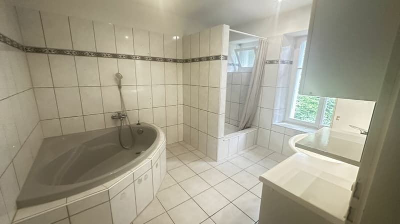 Charmant appartement en maisonnette à louer (14)